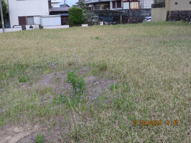 外観：324000018899