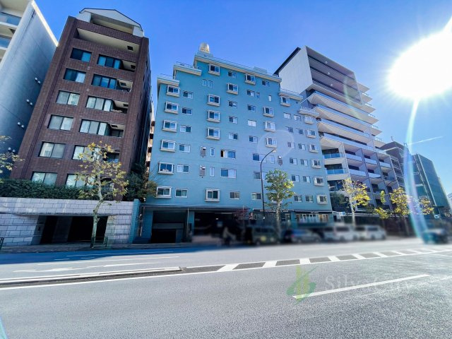 外観：313004692672