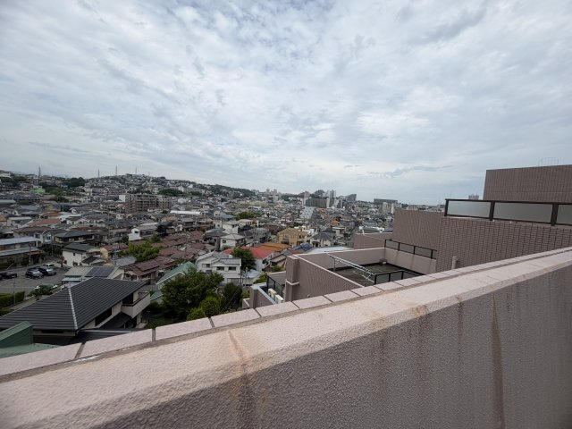 展望