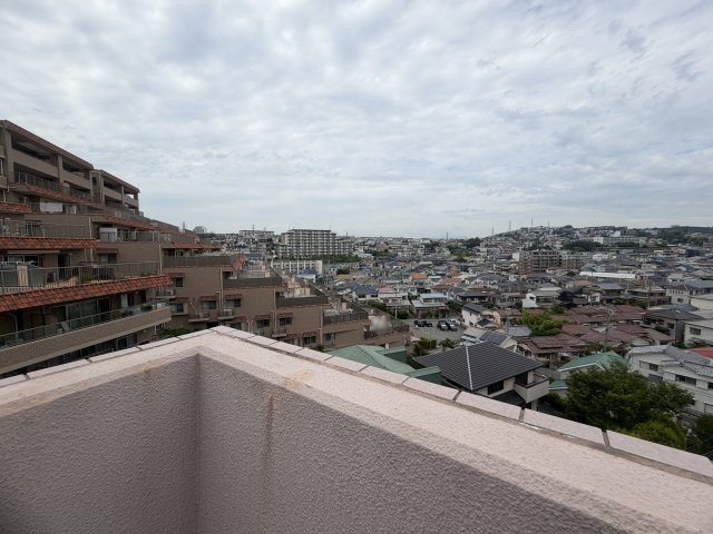 展望