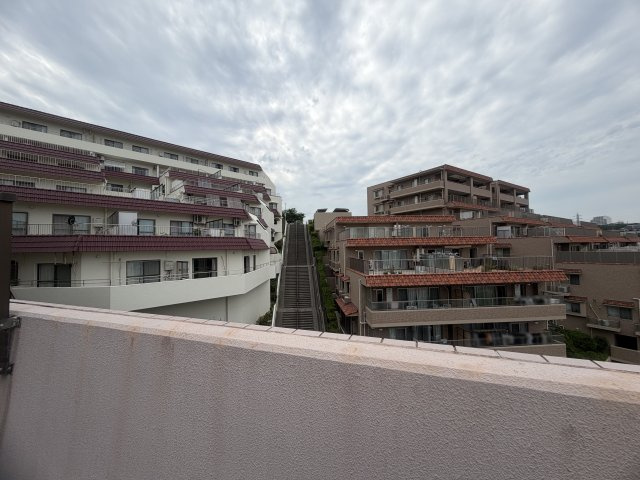 展望