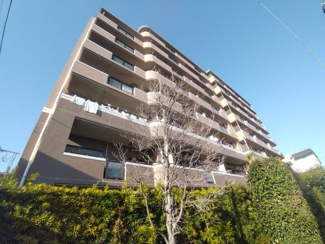 外観：313004742761