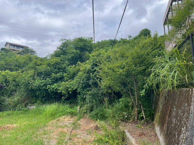 外観：346000041757