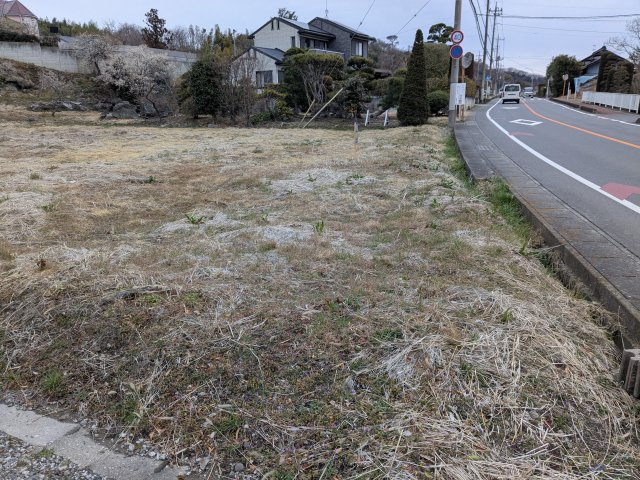 外観：310000088609