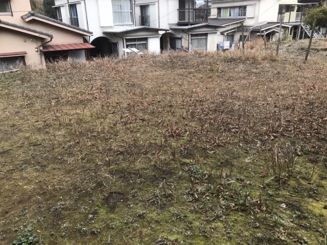 展望