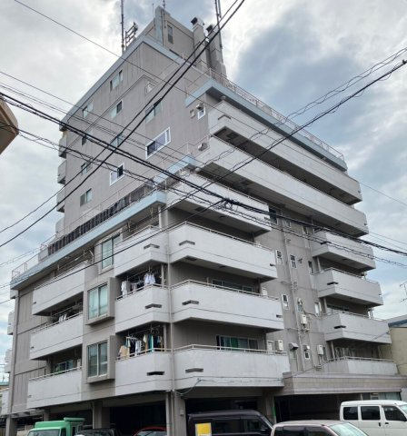 外観：313004694423