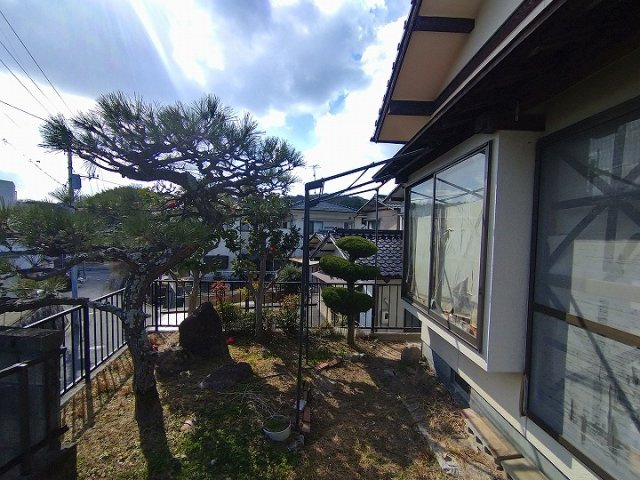 庭