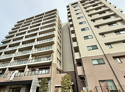 外観：313004617539