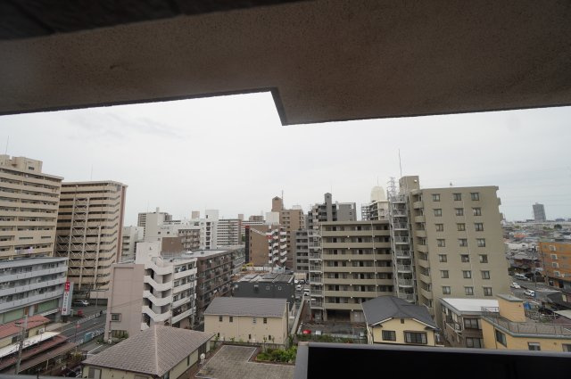 展望