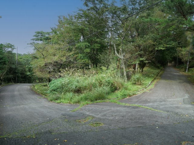 外観：322000577877