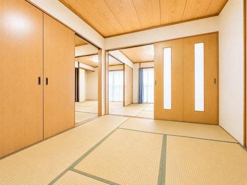 室内（2026年5月）撮影