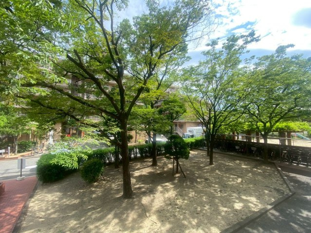 展望