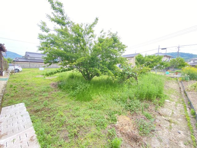 敷地内には趣のある樹木があり、木陰を活かして季節の移ろいを楽しむ庭づくりも可能です。もちろん、整地して新たに活用することもでき、生活に合わせた柔軟な土地利用が叶うため理想の暮らしを実現できます。