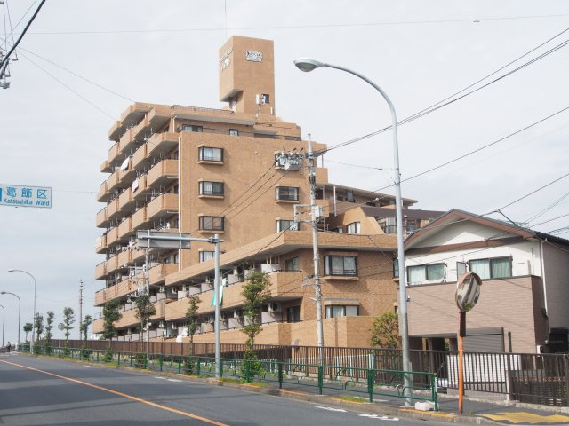 外観：313004736113