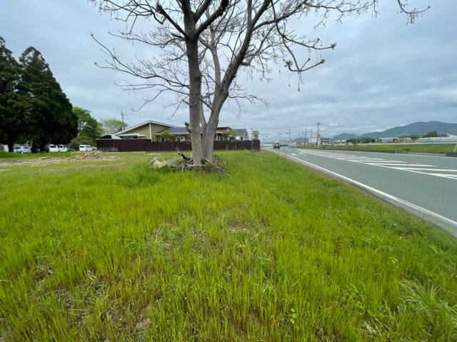 外観：343000061624