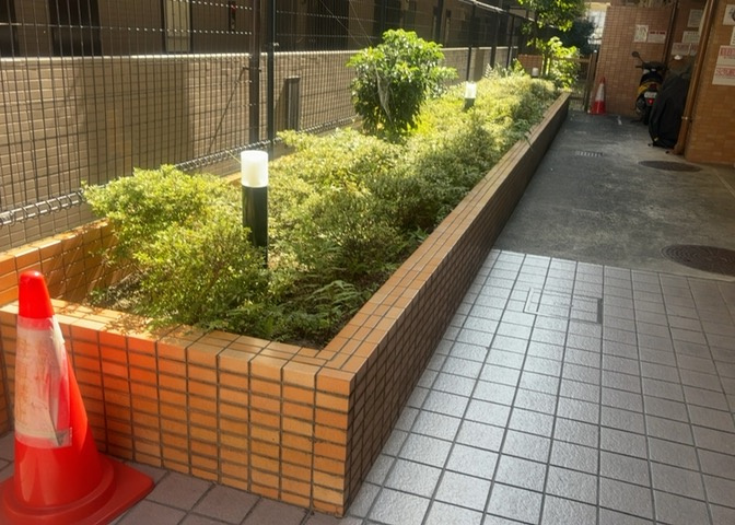 中庭（パティオ）とは、一つの建築物の内部に設けられた、壁などで囲われている庭のことを指します。コの字型、ロの字型が主流ですが、L字型の中庭もあります。最近では、インテリア性の高さからも人気があります。