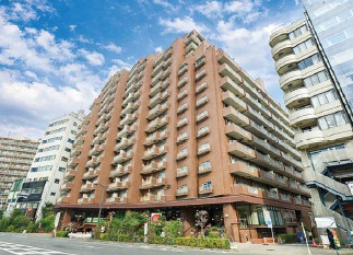 外観：313004648184