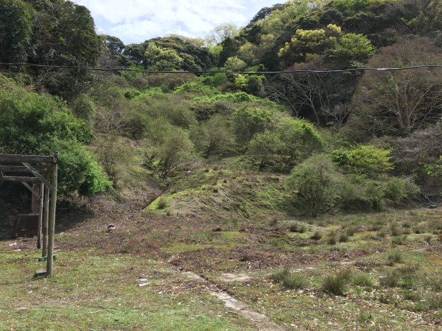 緑豊かな住環境