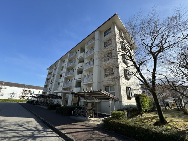 外観：311001609698