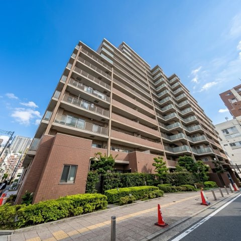 外観：313004907496