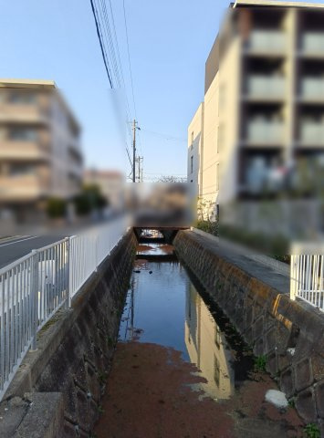 西側水路