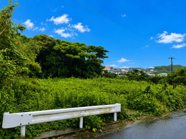 建築時には43条許可申請が必要です。