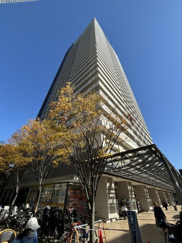 外観：313004498224