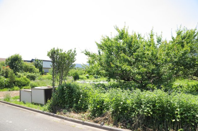 外観：314002368952