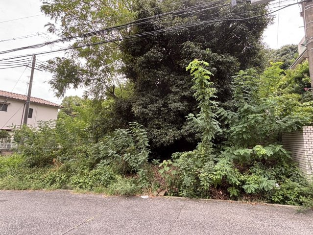 外観：328000626353