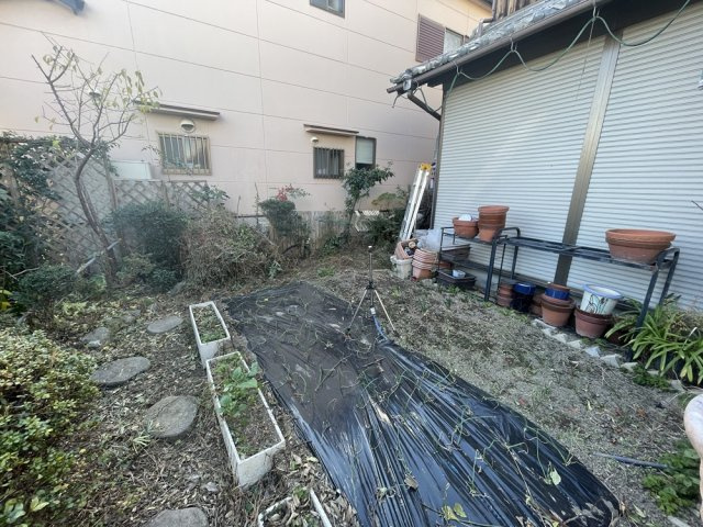 庭