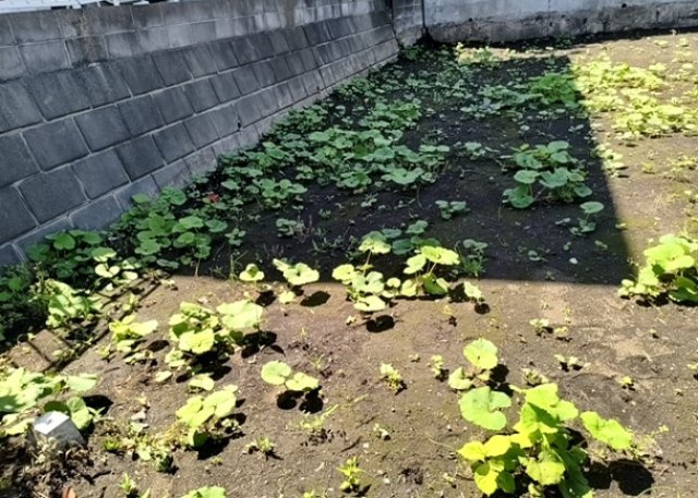 土地探しをしていると都市計画区域という言葉を目にすると思います。法律によって、都道府県知事や国土交通大臣が指定するエリアのことを指しており、都市計画区域は市街化区域と市街化調整区域に分けられています。