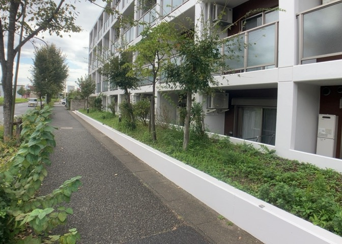 庭のある家に住むことのメリットとして、子どもたちの遊び場を確保できること、ガーデニングや家庭菜園を楽しめること、明るさを確保できることがあります。また、配置を工夫することでプライバシーが確保できます。