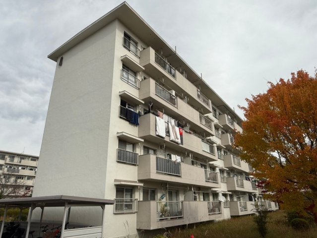 外観：328000556724