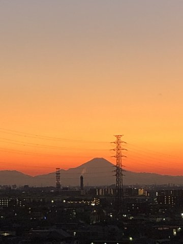 売主提供写真。