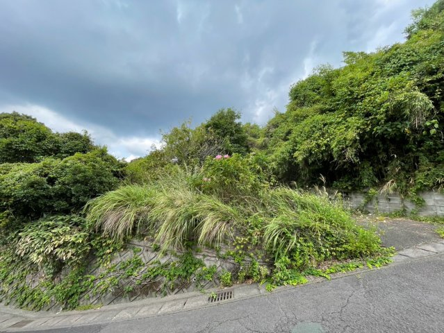 植栽は伐根まで行います。