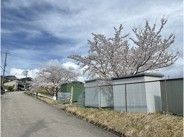 春の景色