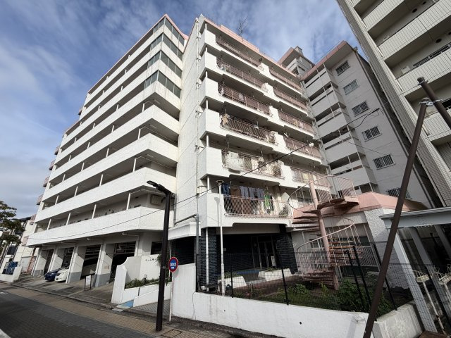 外観：313004900865