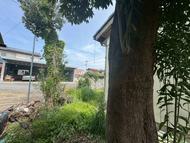 庭