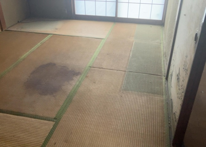 洋室のメリットは重い家具が置きやすく、身の回りが整理しやすいことです。　床がフローリングのため畳とは異なり凹みにくいです。　クローゼットなど収納が豊富で、普段使わない旅行カバンや服の整頓も簡単にです。