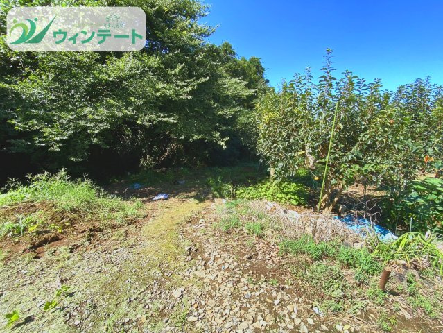 のどかな環境にある落ち着いた雰囲気です(^^♪