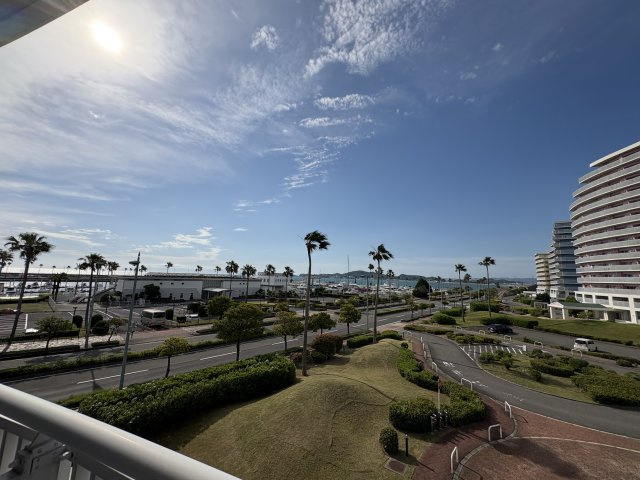 展望