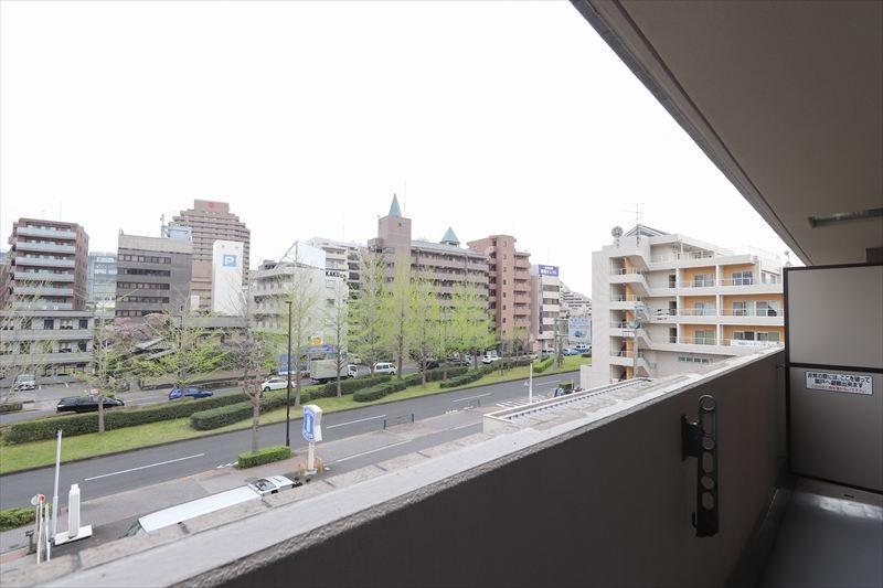 展望