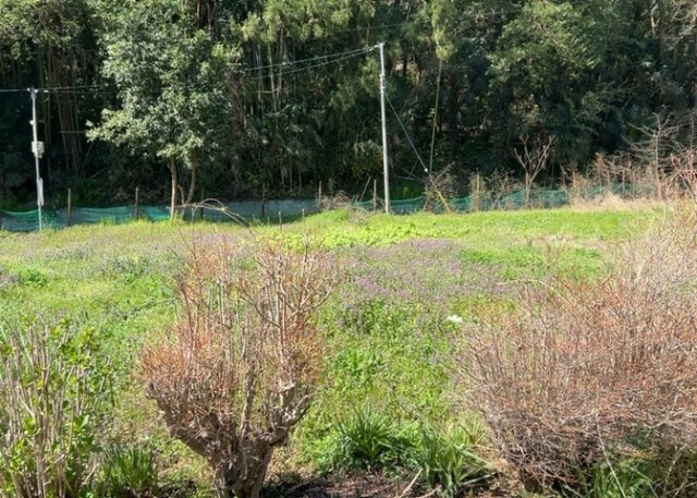 土地の面積＝住宅面積ではありません。建ぺい率の問題などで、土地のある場所によって住宅を建てられる面積は限られています。高さもしかり、「土地」という言葉の中には、建築条件も含まれると考えておきましょう。