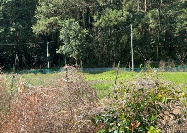 家を建てる場合、方位は要チェックです。現実的に日当たりのよい家ならばリビングは南側、建築基準法でも北側に当たる家への配慮は求められています。土地を見学に行く際は、方位磁針を持って行くようにしましょう。