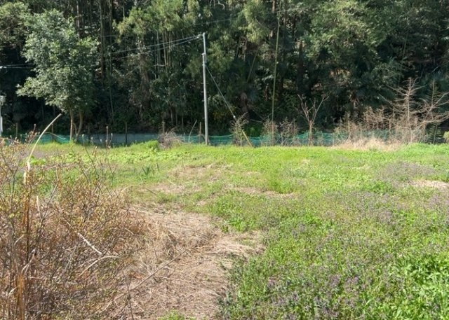 土地を買う際、住む地域の自治体や福祉の補助制度にも注目してみましょう。子供や老人の医療補助やゴミ出しのルールなど、自治体によってルールに大きな違いがあるため、暮らしやすい土地で判断するとよいでしょう。