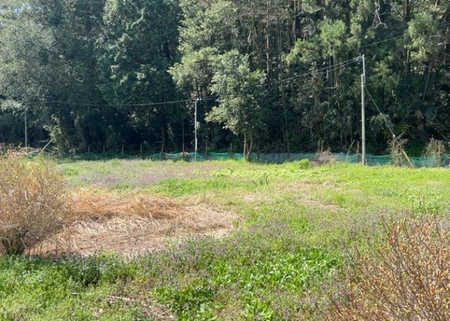 土地の前の道路に消火栓が設置されていることがあります。この場合、道路交通法第45条第1項により、駐車禁止の場所が指定されています。そのため、車庫などの駐車スペースをつくることができない場合があります。