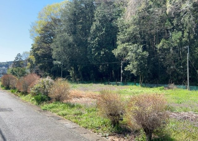 外観：314002684792