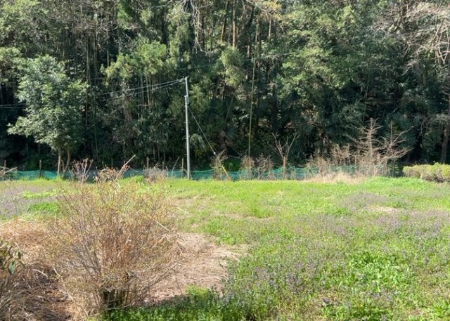 現地に行くなら、物件の周囲の地形がどうなっているかを見ることも大切です。周辺より低くなっている土地では、大雨などで水が集まりやすいため、地盤が弱くなっているということも考えられるため、注意が必要です。