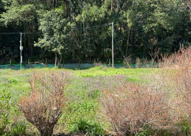 物件の詳細については、現地を見てわかること以外に、役所や法務局などで調べないとわからないことがあります。そのため、現地に行く場合は、もしこの物件を買ったらどのような生活ができるかをイメージしましょう。