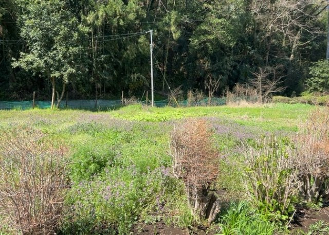 隣家の土地はどうなっているのか、生活利便施設が近くにあるのか、学校まで近いかなど、お客様のライフスタイルにあわせたイメージが重要です。また、近くにあると困る施設が近くにないかも確認するといいでしょう。